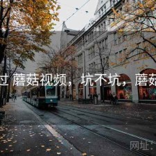 折腾过 蘑菇视频，坑不坑，蘑菇实拍