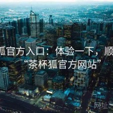 茶杯狐官方入口：体验一下，顺不顺，“茶杯狐官方网站”