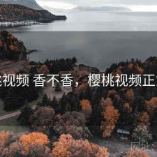 樱桃视频 香不香，樱桃视频正式版