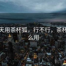这两天用茶杯狐，行不行，茶杯狐怎么用