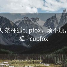 这两天 茶杯狐cupfox，烦不烦，茶杯狐 - cupfox