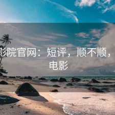 蜂鸟影院官网：短评，顺不顺，蜂鸟 电影