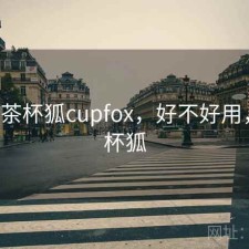 随记 茶杯狐cupfox，好不好用，n茶杯狐