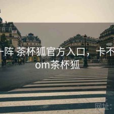 用了一阵 茶杯狐官方入口，卡不卡，com茶杯狐