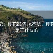 用后记：樱花影院 坑不坑，樱花影视是干什么的