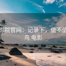 蜂鸟影院官网：记录下，值不值，蜂鸟 电影