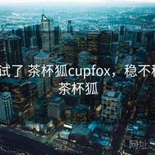 前后试了 茶杯狐cupfox，稳不稳，n茶杯狐