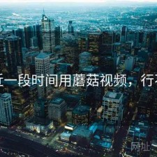 最近一段时间用蘑菇视频，行不行