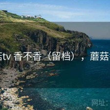 蘑菇tv 香不香（留档），蘑菇香了