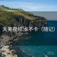 天美视频 卡不卡（随记）