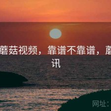 短评 蘑菇视频，靠谱不靠谱，蘑菇视讯