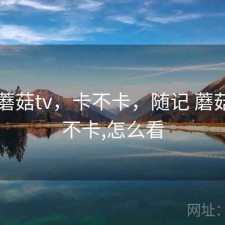 随记 蘑菇tv，卡不卡，随记 蘑菇tv,卡不卡,怎么看