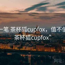 快速一笔 茶杯狐cupfox，值不值，“茶杯狐cupfox”
