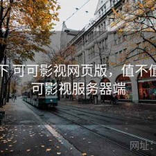 记录下 可可影视网页版，值不值，可可影视服务器端