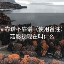 蘑菇tv 靠谱不靠谱（使用备注），蘑菇影视现在叫什么
