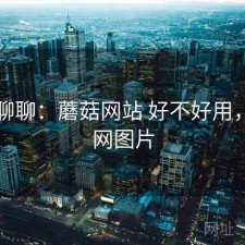 随便聊聊：蘑菇网站 好不好用，蘑菇网图片