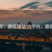 简单写：蘑菇网站 坑不坑，蘑菇网片