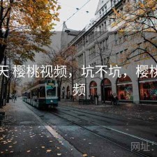 这两天 樱桃视频，坑不坑，樱桃视平频