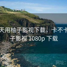 这两天用柚子影视下载，卡不卡，柚子影视 1080p 下载