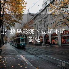 用后记：蜂鸟影院下载 坑不坑，蜂鸟影站