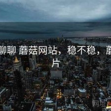 随便聊聊 蘑菇网站，稳不稳，蘑菇网片