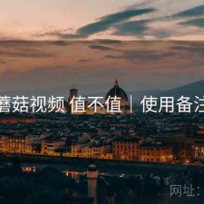 蘑菇视频 值不值｜使用备注