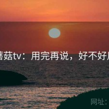 蘑菇tv：用完再说，好不好用