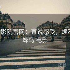 蜂鸟影院官网：直说感受，烦不烦，蜂鸟 电影
