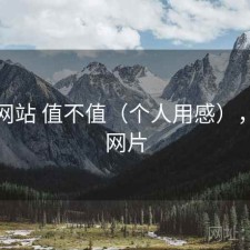 蘑菇网站 值不值（个人用感），蘑菇网片