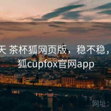 这两天 茶杯狐网页版，稳不稳，茶杯狐cupfox官网app