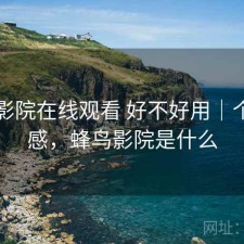 蜂鸟影院在线观看 好不好用｜个人用感，蜂鸟影院是什么