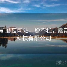 简单写 蘑菇网站，稳不稳，蘑菇网络科技有限公司