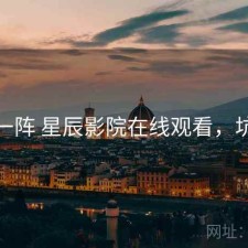 用了一阵 星辰影院在线观看，坑不坑