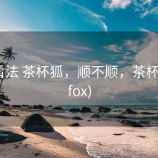 个人看法 茶杯狐，顺不顺，茶杯狐(upfox)
