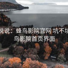 简单说说：蜂鸟影院官网 坑不坑，蜂鸟影院首页界面