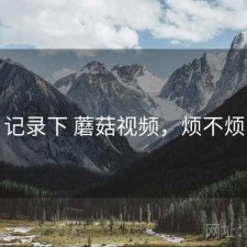 记录下 蘑菇视频，烦不烦