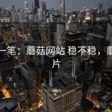 快速一笔：蘑菇网站 稳不稳，蘑菇网片