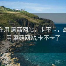 最近在用 蘑菇网站，卡不卡，最近在用 蘑菇网站,卡不卡了