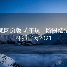 茶杯狐网页版 坑不坑｜阶段结论，茶杯狐官网2021