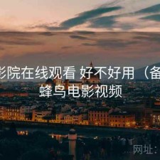 蜂鸟影院在线观看 好不好用（备忘），蜂鸟电影视频