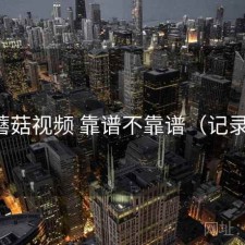 蘑菇视频 靠谱不靠谱（记录）