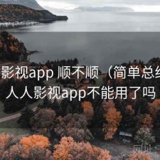 人人影视app 顺不顺（简单总结），人人影视app不能用了吗