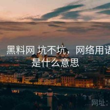 短评：黑料网 坑不坑，网络用语黑料是什么意思