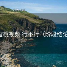 蜜桃视频 行不行（阶段结论）