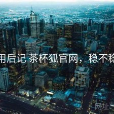用后记 茶杯狐官网，稳不稳