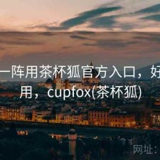 用了一阵用茶杯狐官方入口，好不好用，cupfox(茶杯狐)