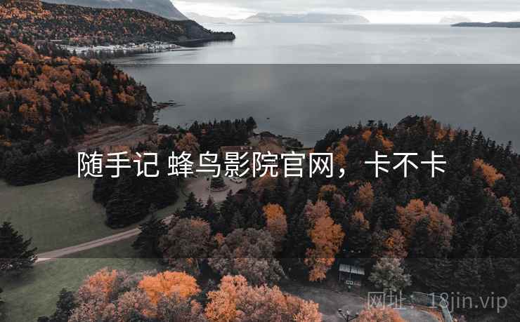 随手记 蜂鸟影院官网，卡不卡  第1张